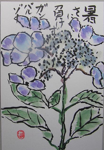 絵手紙シリーズ 梅雨の花 ガクアジサイ 四季の花図鑑