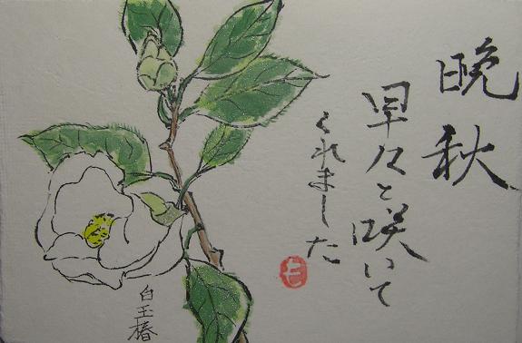 絵手紙シリーズ 白椿 初嵐 嵯峨 四季の花図鑑