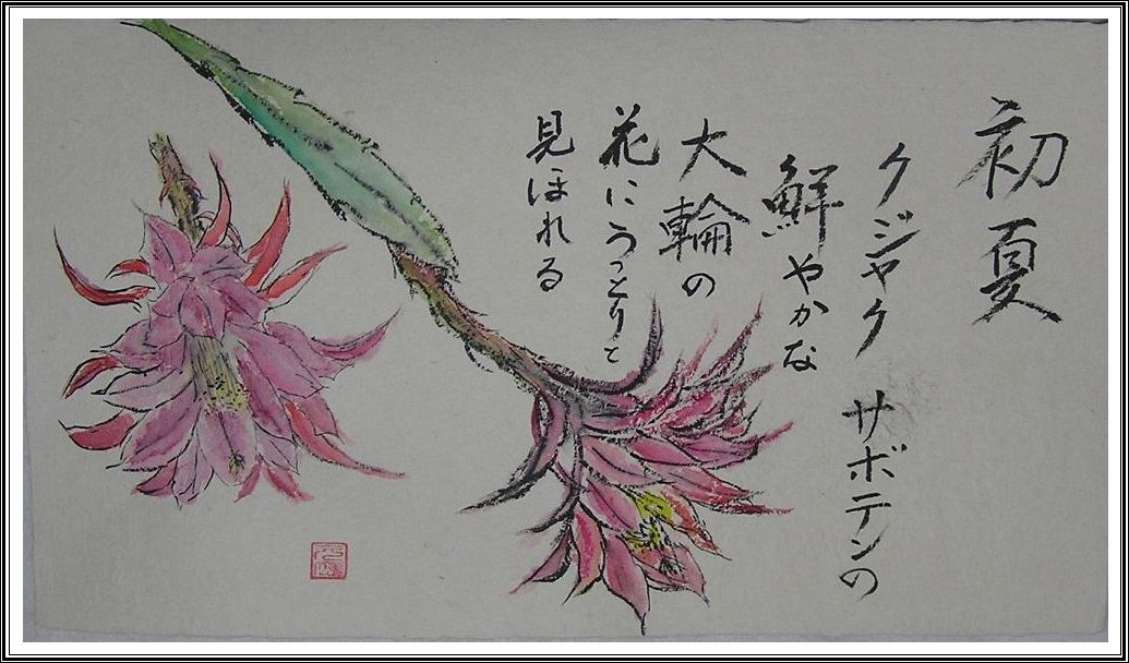 絵手紙シリーズ 初夏の花「クジャクサボテン」 : 四季の花図鑑