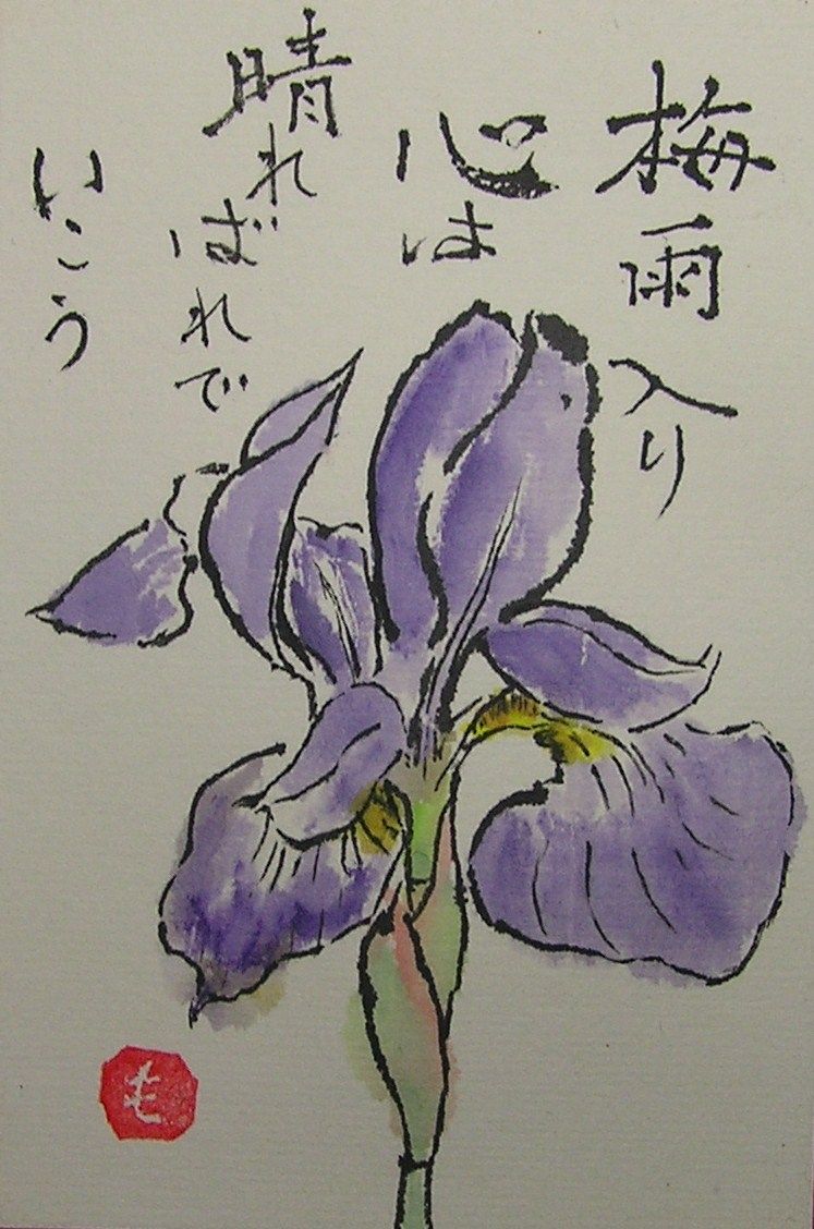 絵手紙シリーズ アヤメ 文目 四季の花図鑑