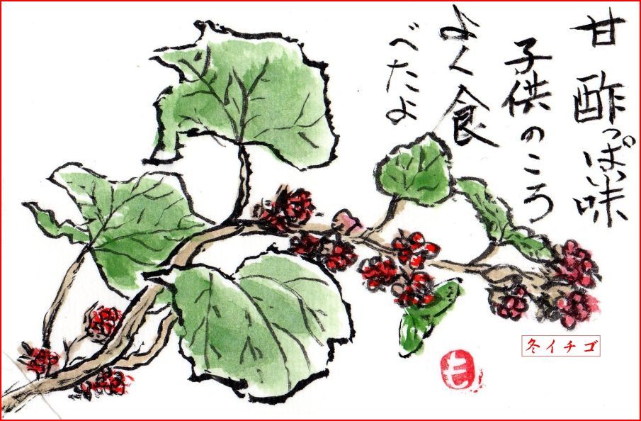 絵手紙シリーズ 冬イチゴ 四季の花図鑑