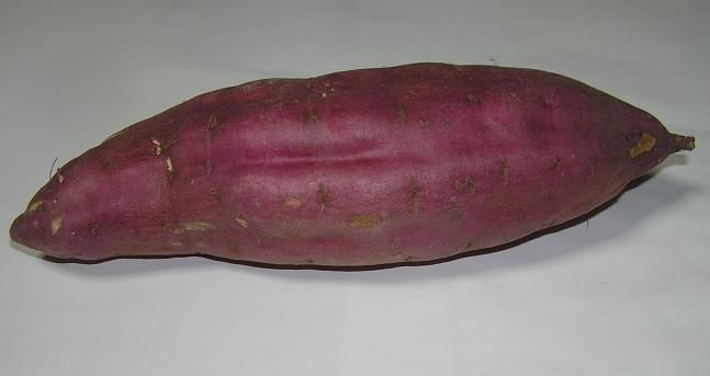 絵手紙シリーズ サツマイモ 薩摩芋 四季の花図鑑