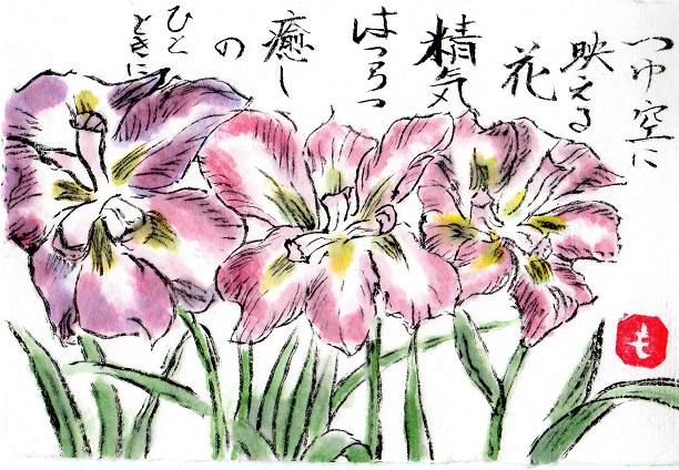 絵手紙シリーズ 初夏の花 花菖蒲 四季の花図鑑 絵手紙シリーズ 初夏の花 花菖蒲 四季の花図鑑
