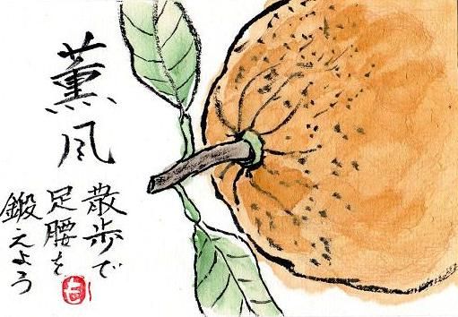 絵手紙シリーズ 甘夏ミカン 四季の花図鑑