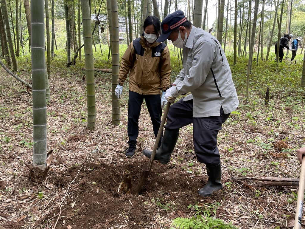 阿見町でタケノコを掘りました 黒田乃生研究室 Cultural Landscape Lab