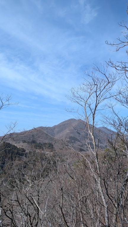 PXL_20260320_051214050