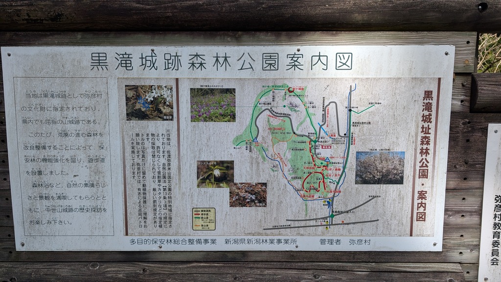 PXL_20260320_045921797
