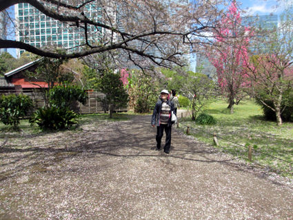 260405散策2IMG_0616