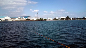 221002自衛隊沖20101002125301