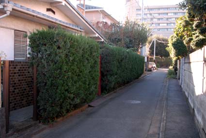271128道路側剪定前DSC_4799