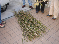 すず竹総量
