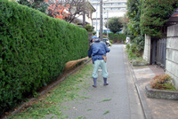 211213アヤ師DSC_0622