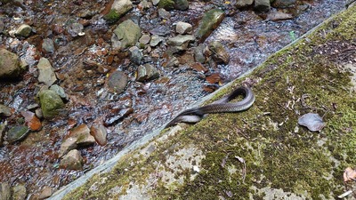 DSC_0119_R