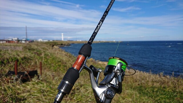 ヘチ釣り行脚 道東 根室にてウサギアイナメを狙う 其の三 ラスト 横浜港 風堤防 ｂｌｏｇ