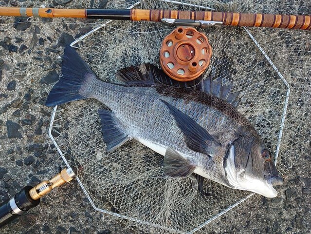 ヘチ釣り行脚 夢は見続けるもの 鹿児島遠征記 横浜港 風堤防 ｂｌｏｇ
