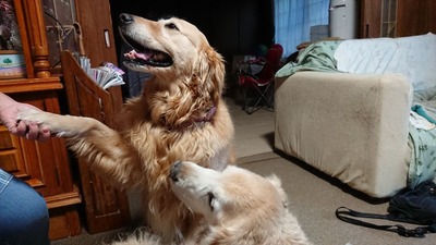 DSCPDC_0000_BURST20211213155552622_R