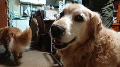 DSCPDC_0003_BURST20211213164729495_COVER_R