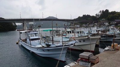 DSC_0028_R