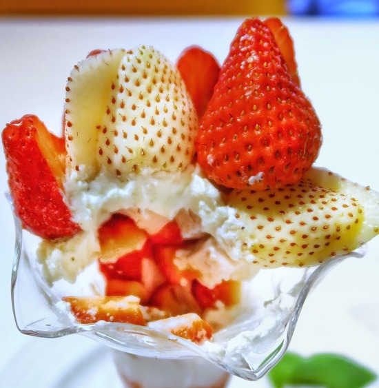 4F935F0E-2E9A-4C5E-B097-4BAE1B89711B