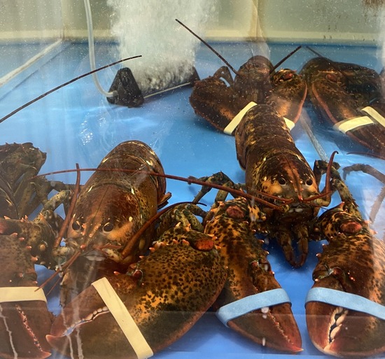 01E50856-F47F-49BC-90DB-AB4355C4EACD