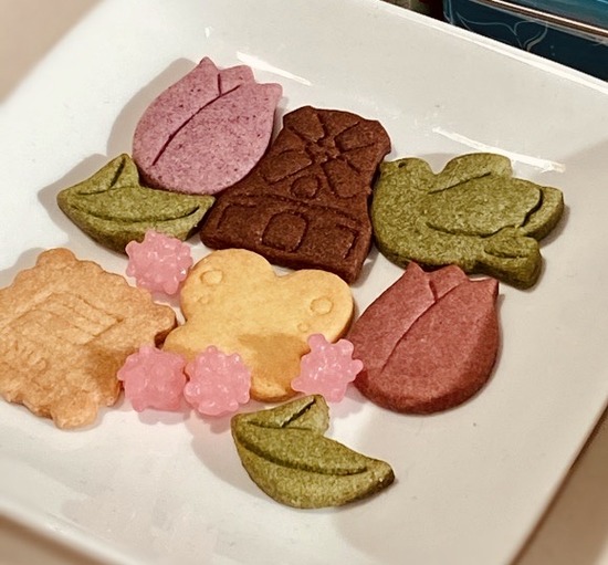 05D03E93-A72D-4BE7-9861-E09315E30FA0