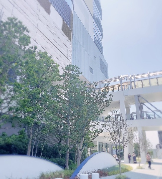 9BA5BDD5-1B22-4680-95B5-A8486196137B