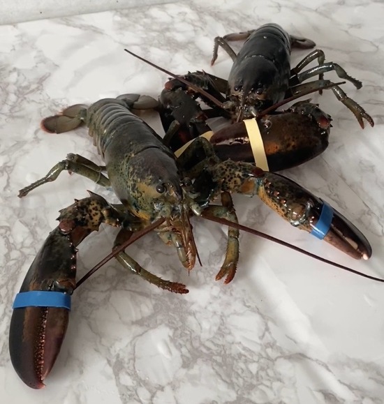 61BF1CEB-9847-4B14-8B99-36C14B879196