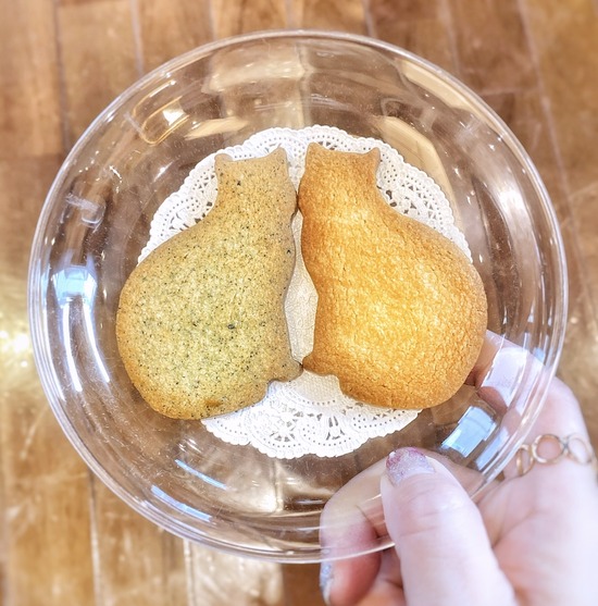 6E66806E-C654-4711-ACF4-9DE7CE8A5A67