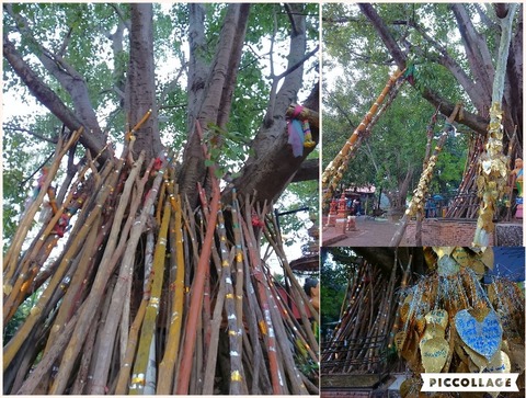 Collage 2017-01-21 16_29_08