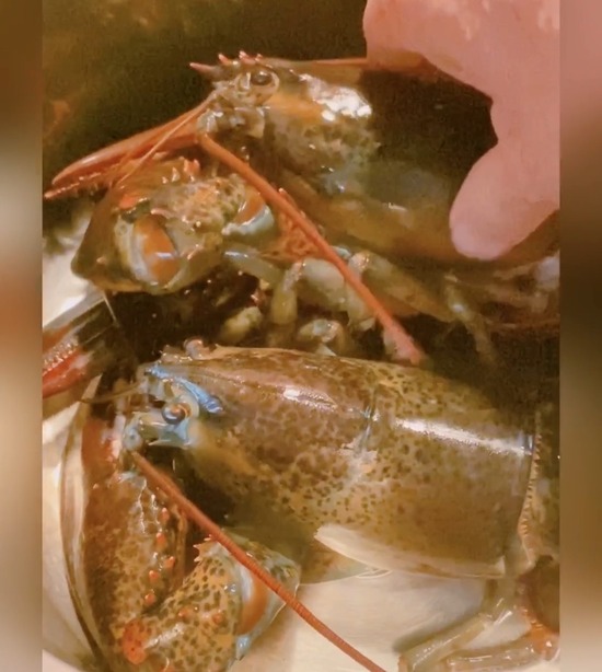 BF5C94B8-44D0-4D05-B622-0898ABC7943D