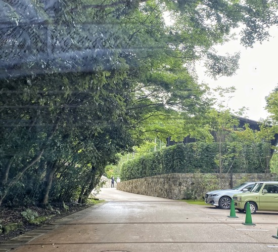 ED7F64ED-D17E-46A8-A015-9F06C78648BE