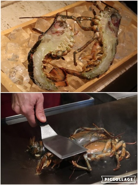 Collage 2017-11-08 08_30_20