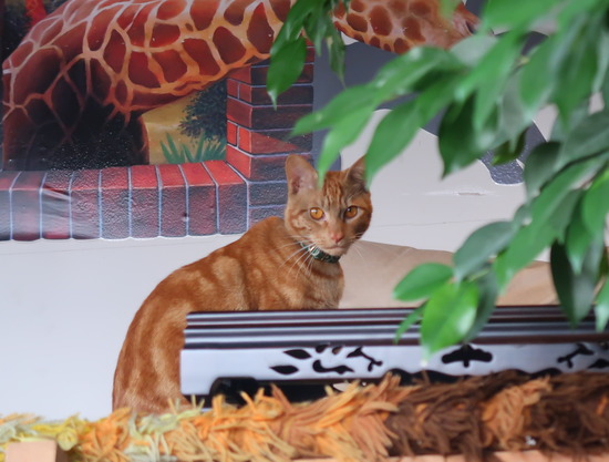 C7EC8628-B92B-4091-A139-5379D689022A