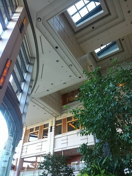 23131645_1440963892685173_5957464902027296276_n