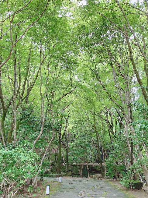 8C369E5F-5FCC-43D1-8B6A-40F2403582F2