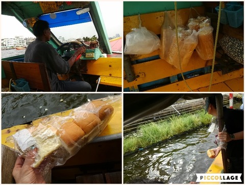 Collage 2017-02-11 18_31_57