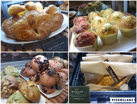 Collage 2017-01-21 00_44_10