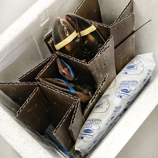 FD649AF5-9D43-4713-A8D3-B62EE1E2E758