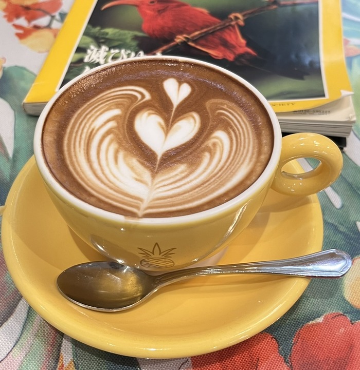 DDE338AF-A4D1-4E3F-974B-8CCBFBE1AAE8