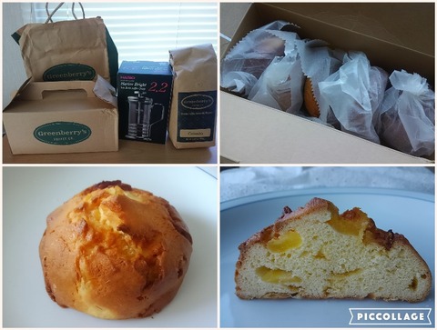 Collage 2017-01-21 21_00_38