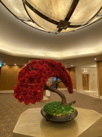 0CA45D5D-A358-4C8B-98E4-8A375C57881C