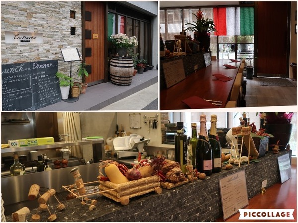 Collage 2017-06-28 07_23_45