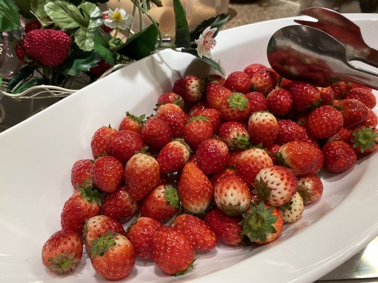 00A01E6D-8033-4355-8FDE-B29CD7386453