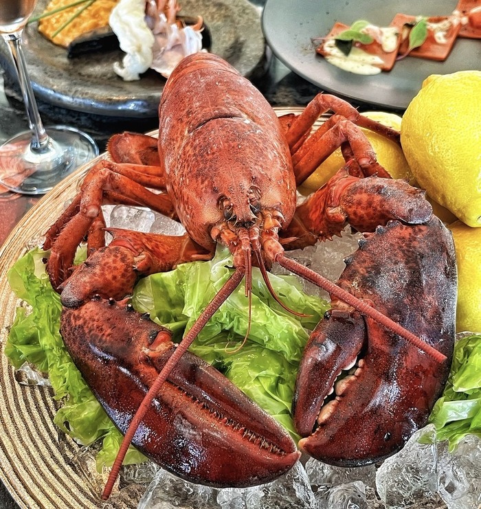 ED4607B3-6558-4CE6-9B08-EB87A7BB708C