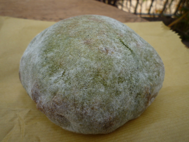 5cc57094.jpg