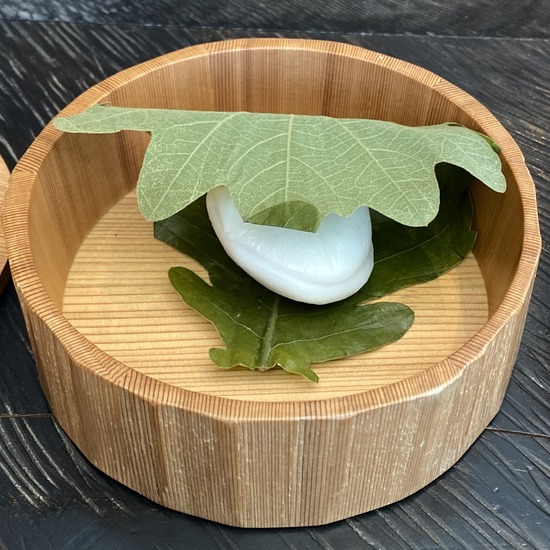 0508B530-79EF-4F1A-8A8C-E708A8A8D109