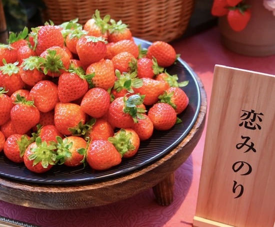 6D1F88C0-E538-4C0E-9872-C974EE68A0B8