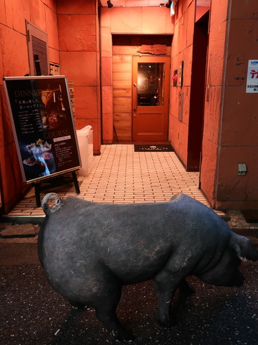 D97AFB3A-BB9F-4475-AE76-1FD1BA5CE102