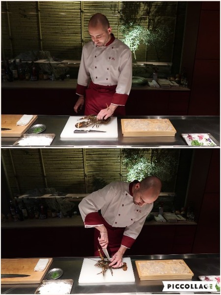 Collage 2017-11-08 08_29_16