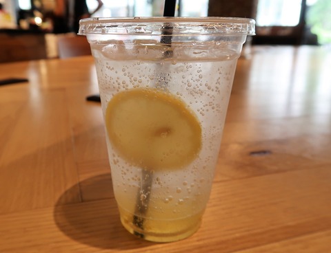 20170522134844_IMG_4251